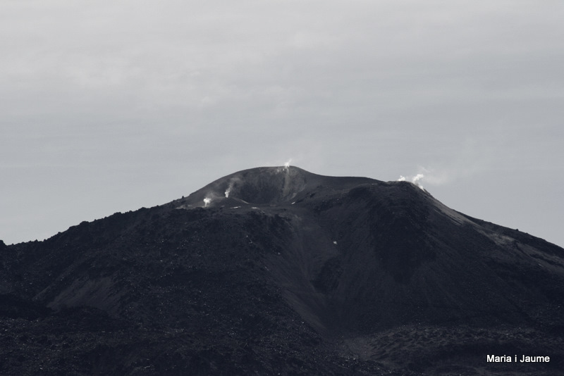 Activitat volcànica andina